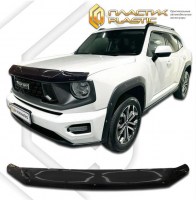2010010119454