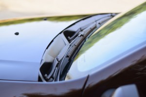 44f43010755335c7078215ff66e9c718