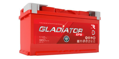 GEF11010